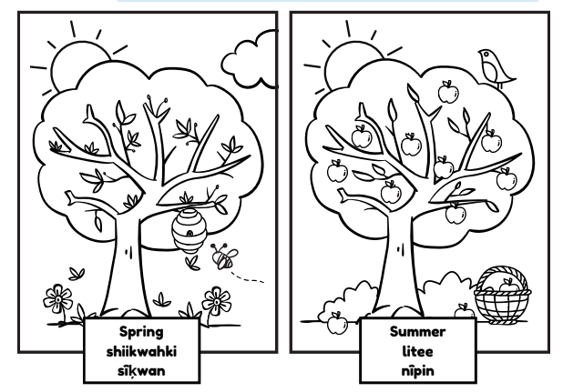 Four Seasons Colouring Sheet